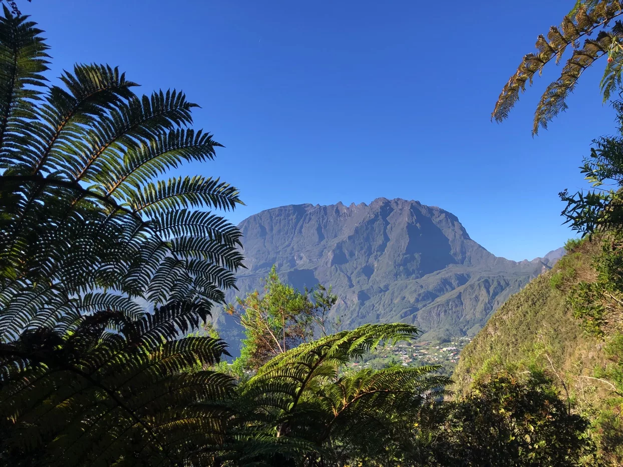 Randonnée Verticale de la Roche Écrite | La Réunion