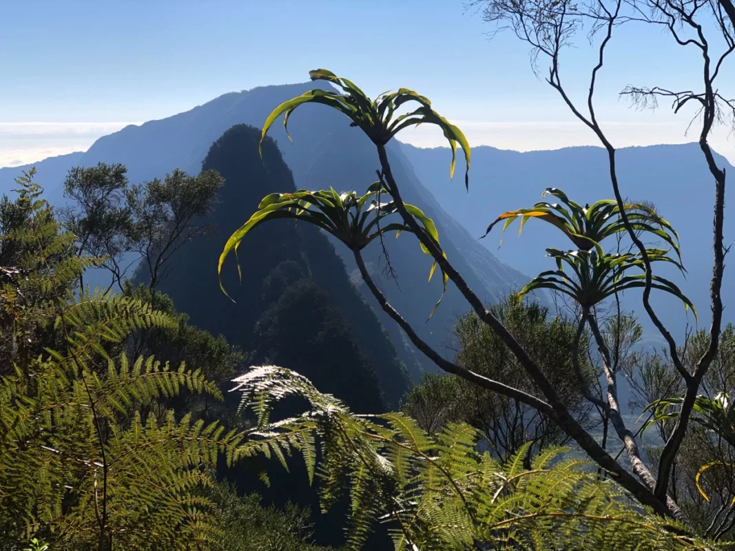 Randonnée Verticale de la Roche Écrite | La Réunion