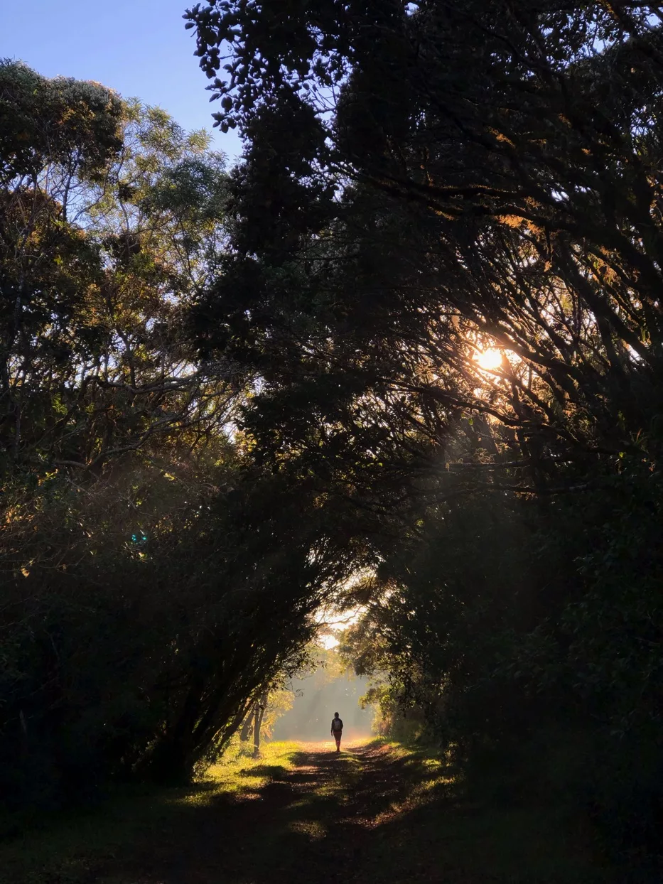 Randonnée à Takamaka | La Réunion