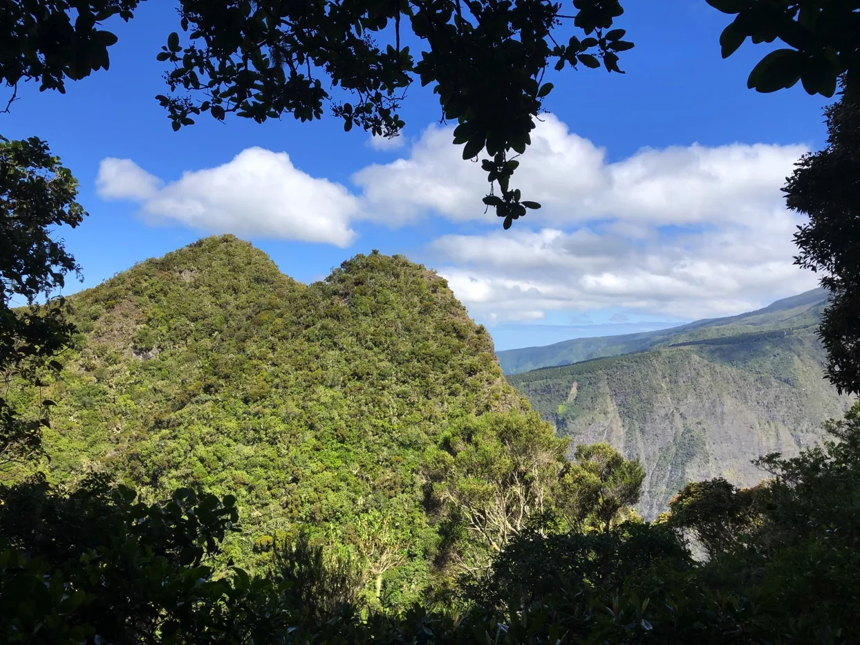 Randonnée au Dimitile par le sentier Bayonne | La Réunion