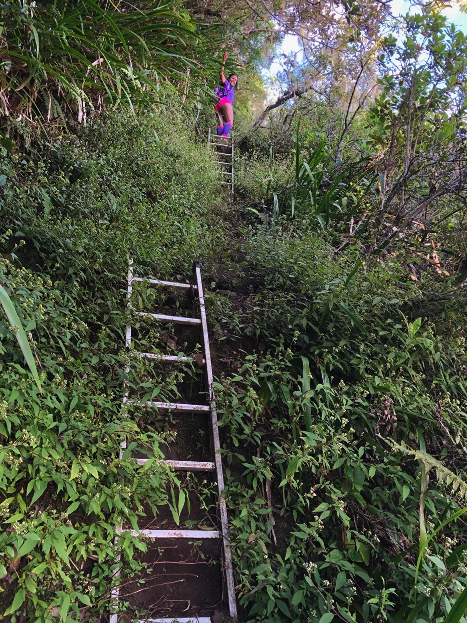 Randonnée au Dimitile par le sentier Bayonne | La Réunion