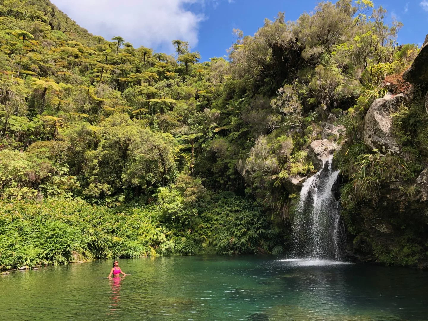 Randonnée au Bassin des Hirondelles | La Réunion
