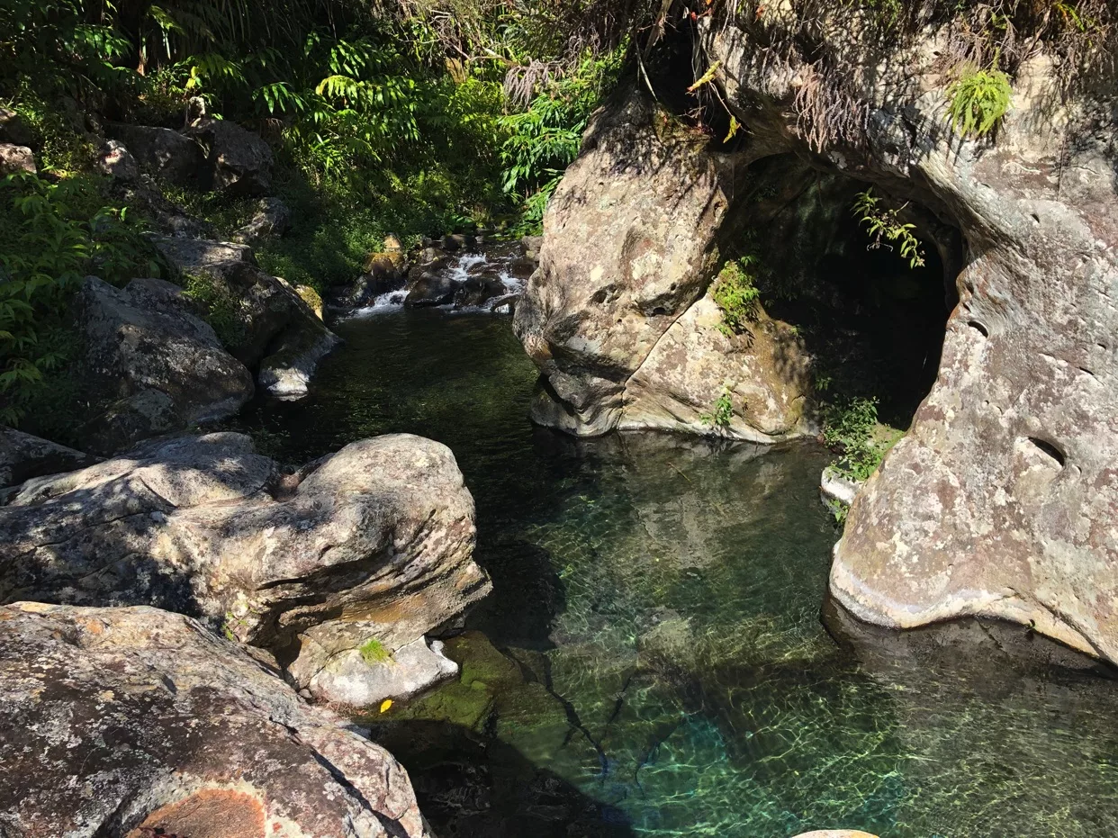 Randonnée au Bassin des Hirondelles | La Réunion