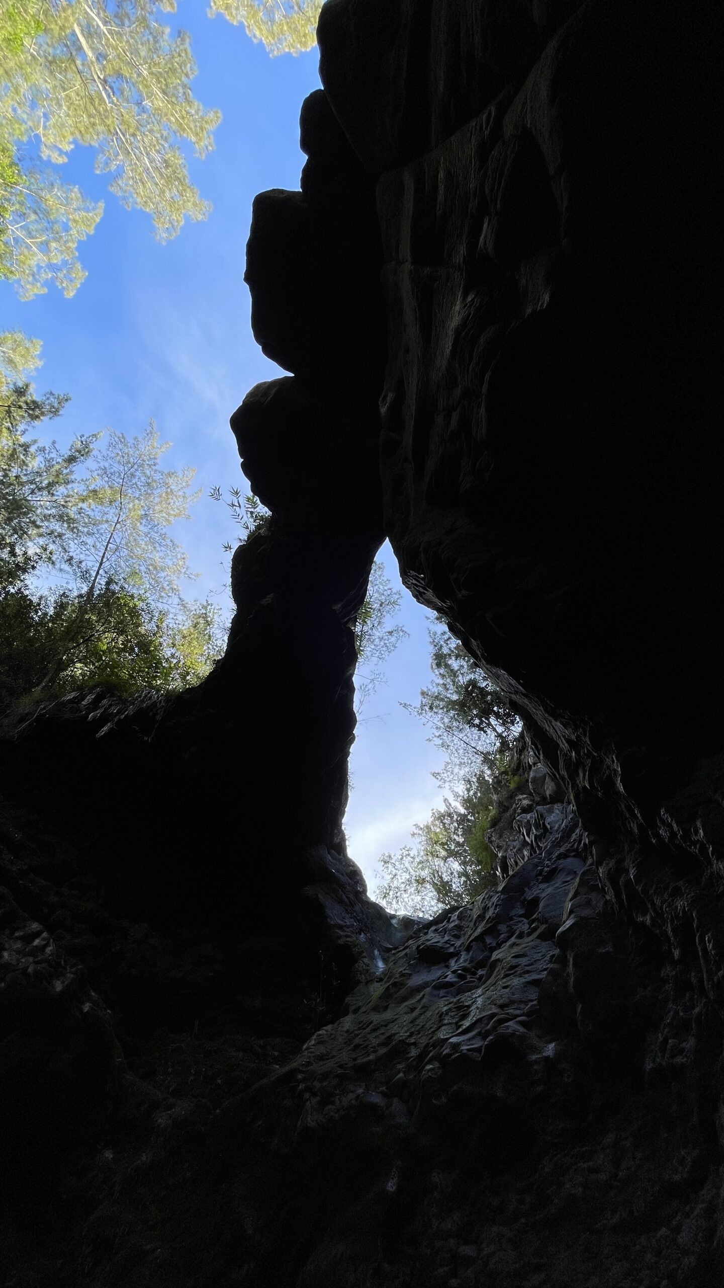 Randonnée aux Bassins et Cascades de Cap Blanc | Rivière Langevin | île de La Réunion | Randonnée de La Réunion Le Monde de Chloé