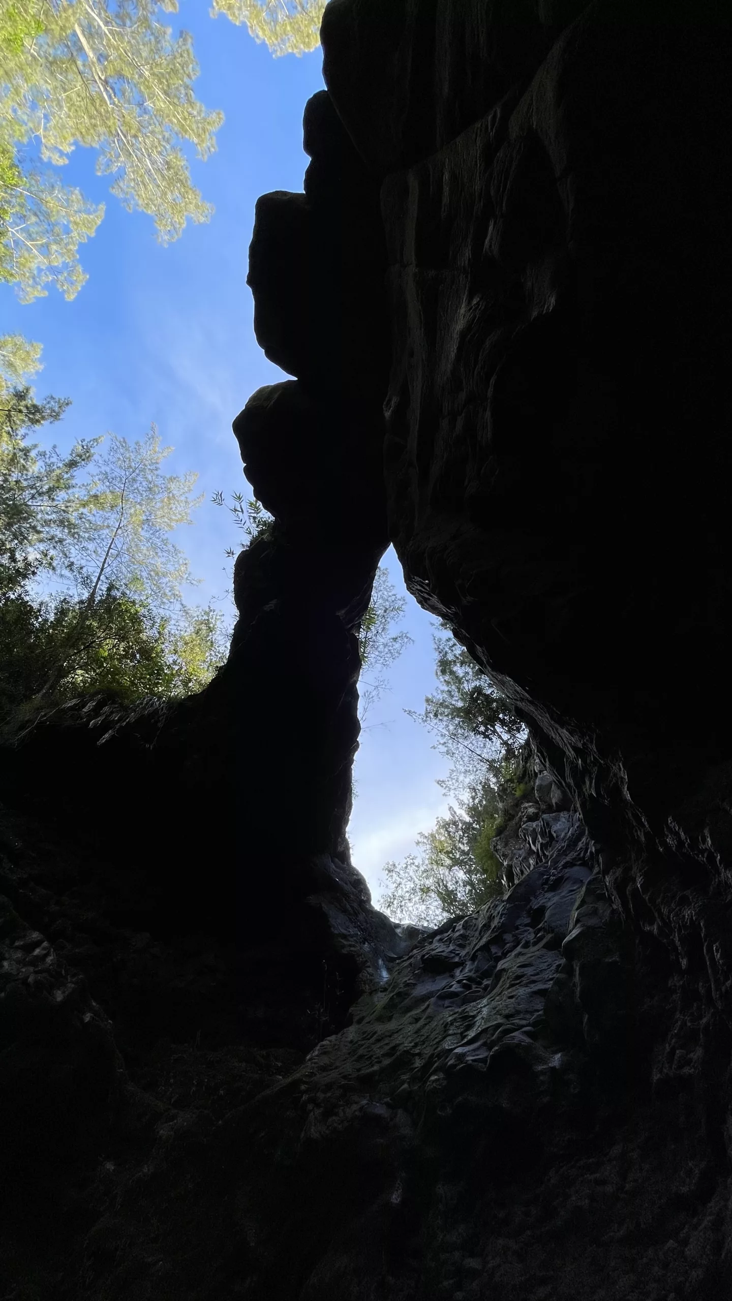 Randonnée aux Bassins et Cascades de Cap Blanc | Rivière Langevin | île de La Réunion | Randonnée de La Réunion  Le Monde de Chloé