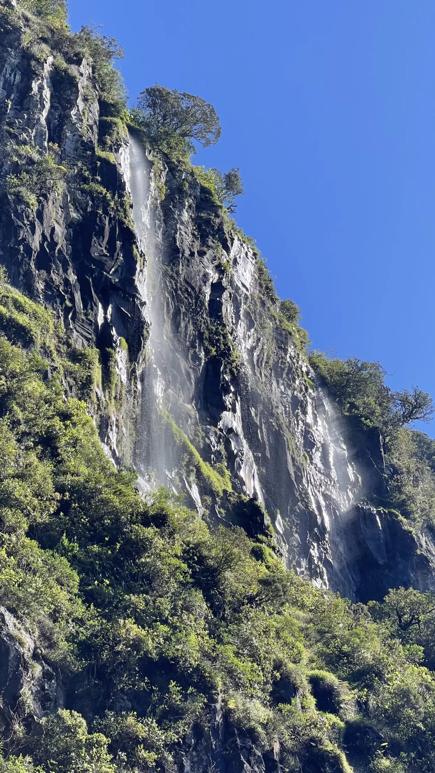 Randonnée à La Cascade du Bras Noir à la Plaine des Palmistes | Le Monde de Chloé