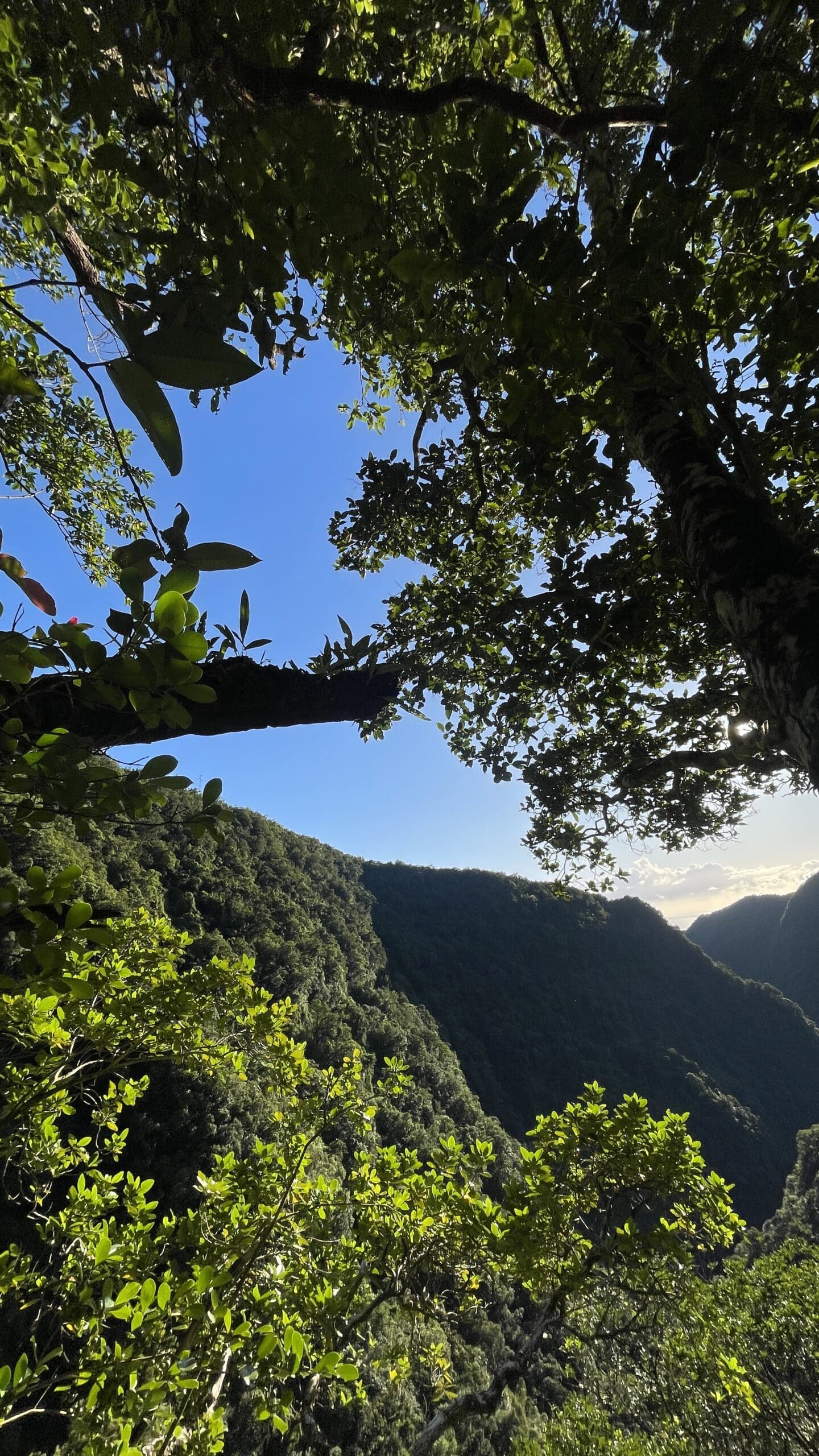 Cascade du Bras Sec | Takamaka | Randonnée très difficile | Rivière des Marsouins | île de La Réunion