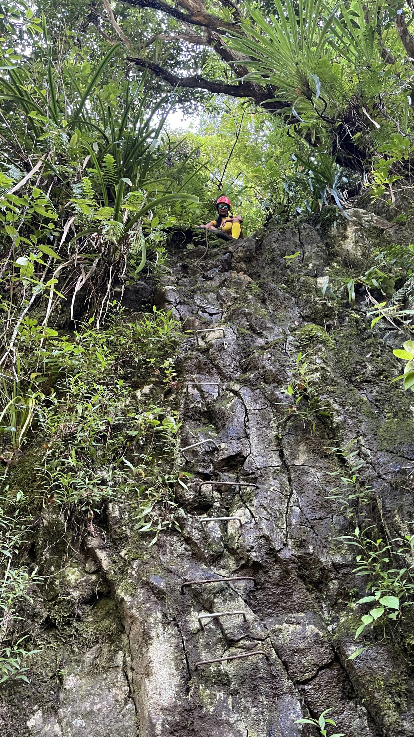 Cascade du Bras Sec | Takamaka | Randonnée très difficile | Rivière des Marsouins | île de La Réunion