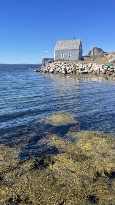 Peggy's Cove | Nouvelle-Écosse | Canada | Road-Trip | Le Monde de Chloé