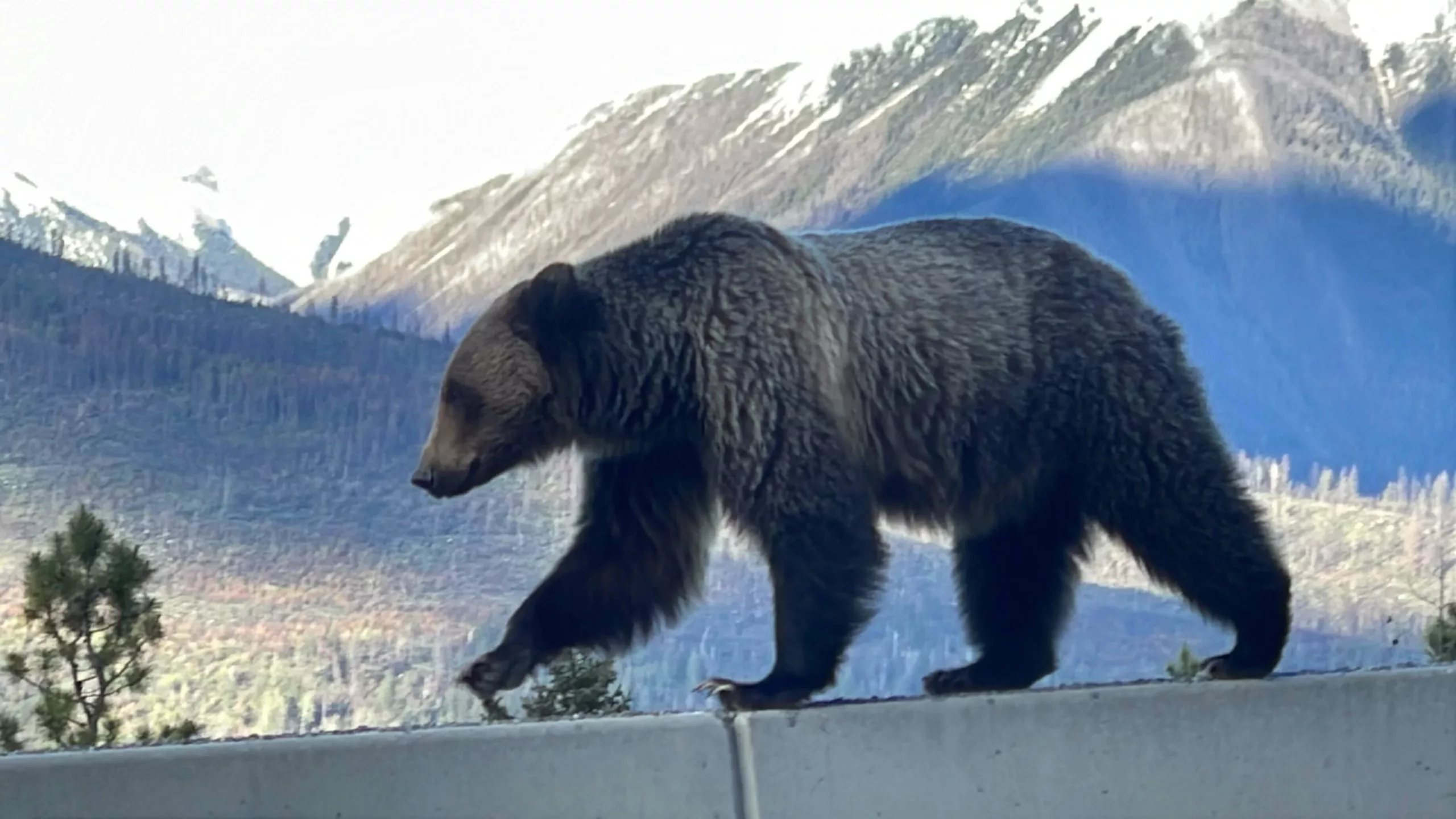 Parc National de Kootenay | Colombie-Britannique | Canada | Le Monde de Chloé | Randonnées et Voyages Aventures