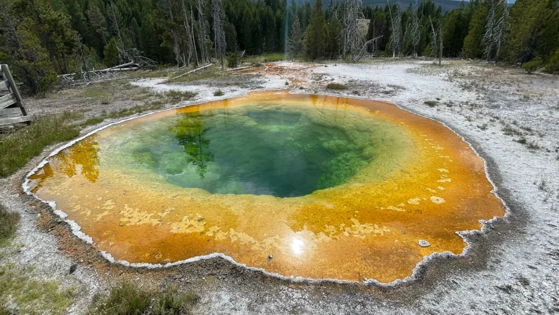 Yellostone National Park | Wyoming | Road Trip aux USA | Le Monde de Chloé