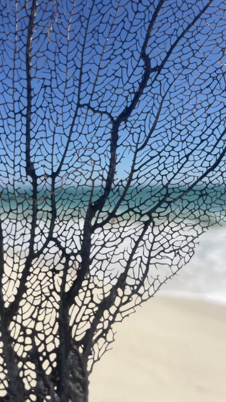 Playa Isla Blanca | Cancun | Yucatan | Mexique | Road Trip au Mexique | Le Monde de Chloé