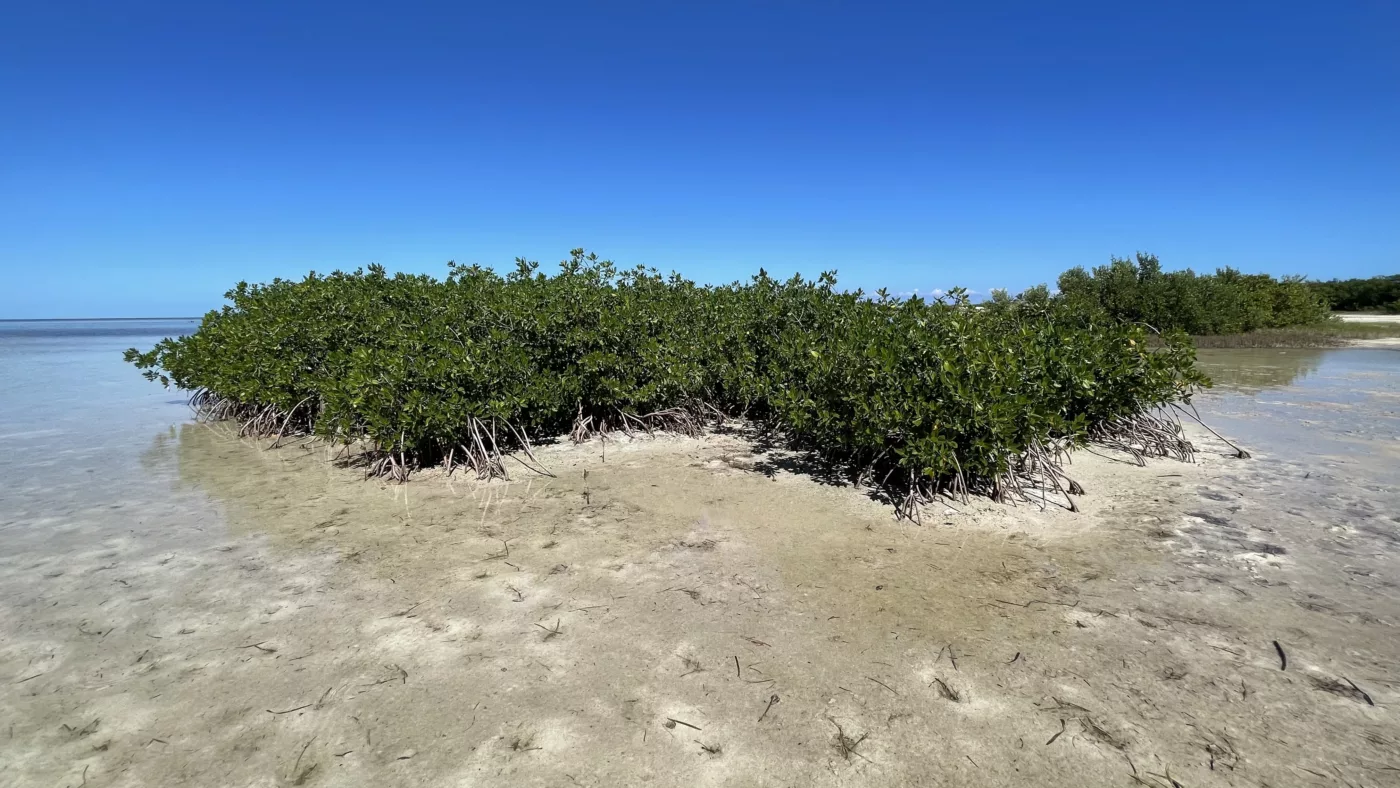 Didier MELLIS et Chloé | Playa Isla Blanca | Cancun | Yucatan | Mexique | Road Trip au Mexique | Le Monde de Chloé