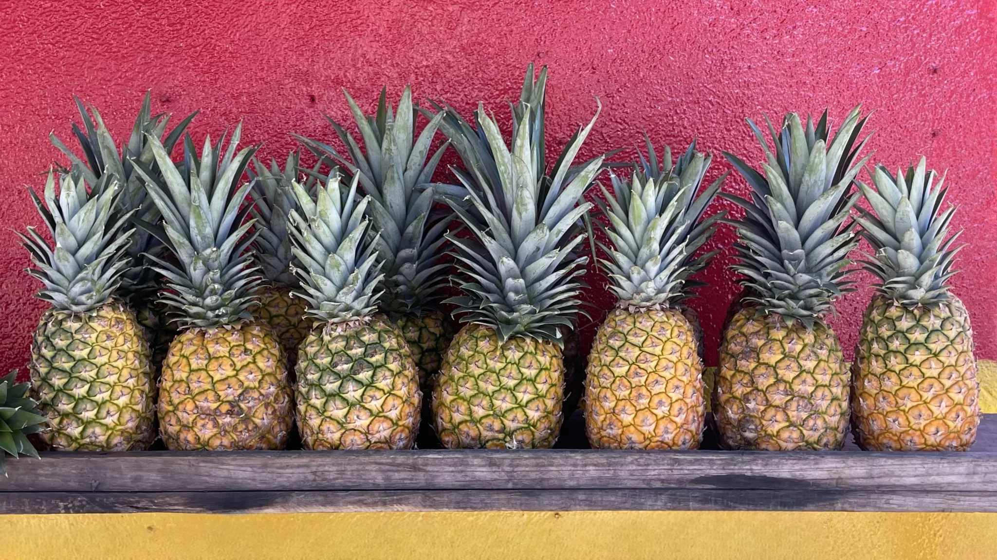 San Pedro La Laguna | Guatemala | Lac Atitlan | Road trip au Guatemala