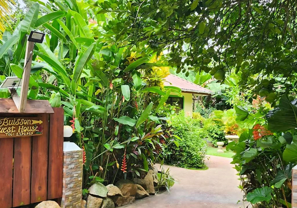 Buisson Guesthouse | La Digue | Seychelles