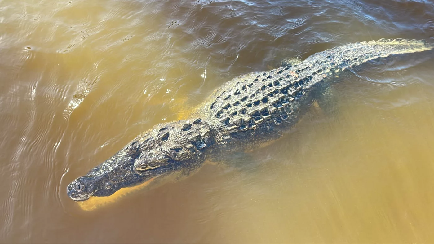 Rio Lagartos | Mexique | Yucatan | Road Trip | Voyage aventure | Le Monde de Chloé