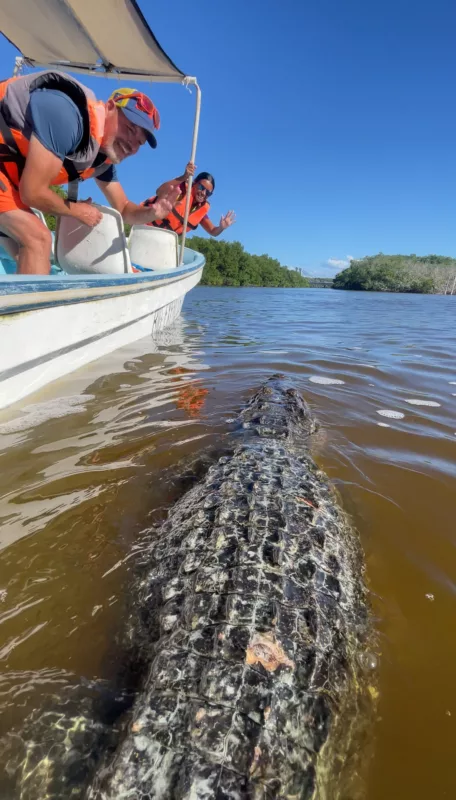 Rio Lagartos | Mexique | Yucatan | Road Trip | Voyage aventure | Le Monde de Chloé