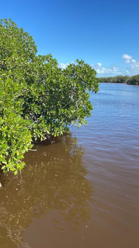 Rio Lagartos | Mexique | Yucatan | Road Trip | Voyage aventure | Le Monde de Chloé