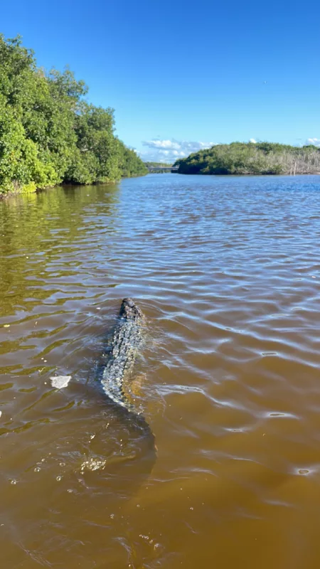 Rio Lagartos | Mexique | Yucatan | Road Trip | Voyage aventure | Le Monde de Chloé
