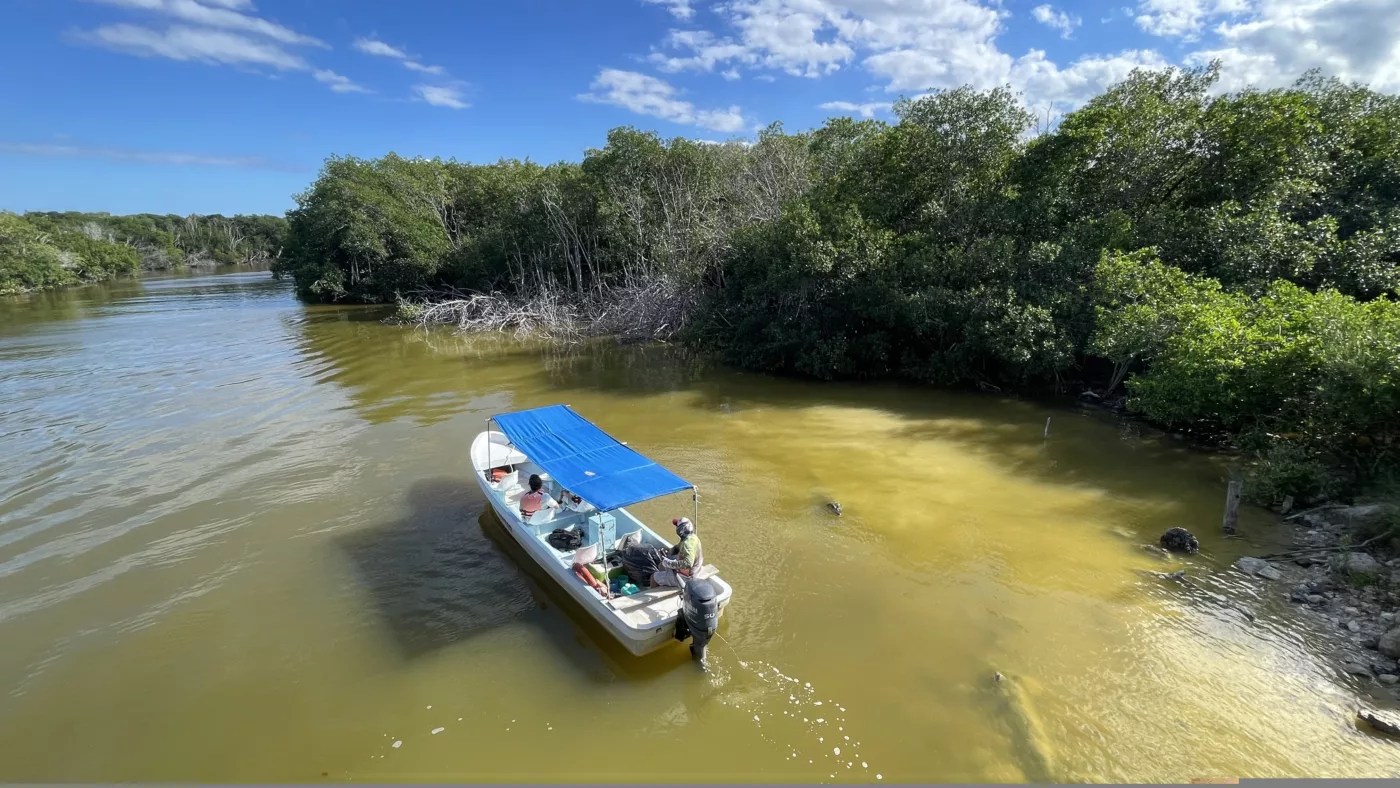 Rio Lagartos | Mexique | Yucatan | Road Trip | Voyage aventure | Le Monde de Chloé
