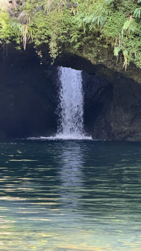 Le Monde de Chloe 2025 Randonnee a La Reunion Randonnee au Bassin Songe Arche du Paradis Tresor de La Reunion IMG 4312 450x800 jpg
