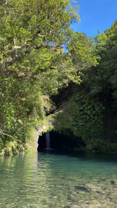 Le Monde de Chloe 2025 Randonnee a La Reunion Randonnee au Bassin Songe Arche du Paradis Tresor de La Reunion IMG 5272 452x800 jpg