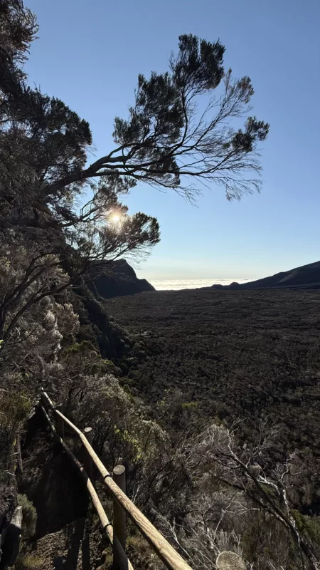 Le Monde de Chloe 2025 Randonnee a La Reunion Randonnee au Piton de la Fournaise Volcan Tresor de La Reunion IMG 2996 450x800 jpg