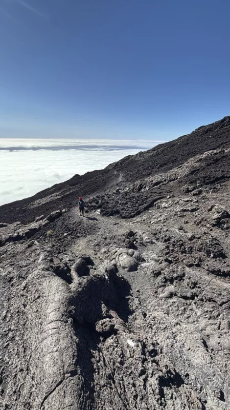 Le Monde de Chloe 2025 Randonnee a La Reunion Randonnee au Piton de la Fournaise Volcan Tresor de La Reunion IMG 3456 450x800 jpg