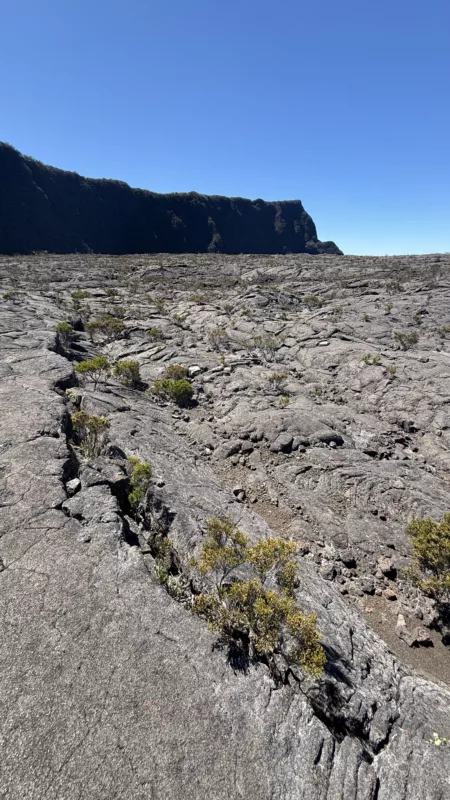 Le Monde de Chloe 2025 Randonnee a La Reunion Randonnee au Piton de la Fournaise Volcan Tresor de La Reunion IMG 4420 450x800 jpg